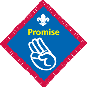 Promise